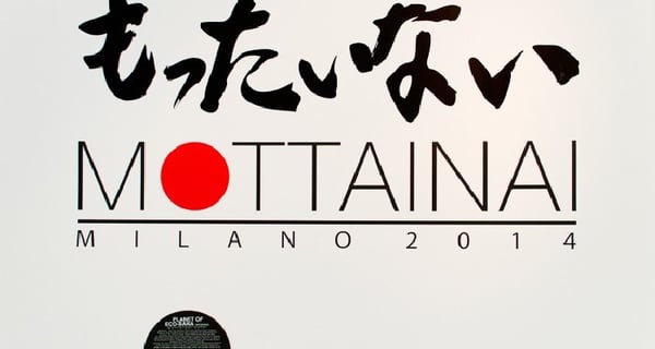 MOTTAINAI