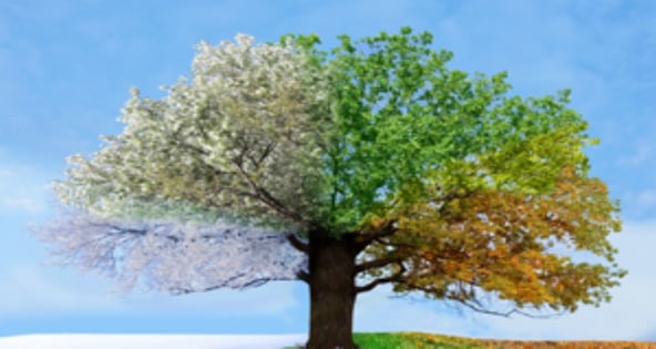 viraggio-del-colore-copertina.jpg