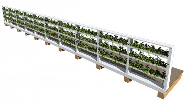 Greenframe parapetto verde