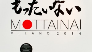 Mottainai
