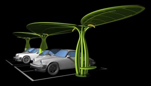 LOTUS - NORD ZINC