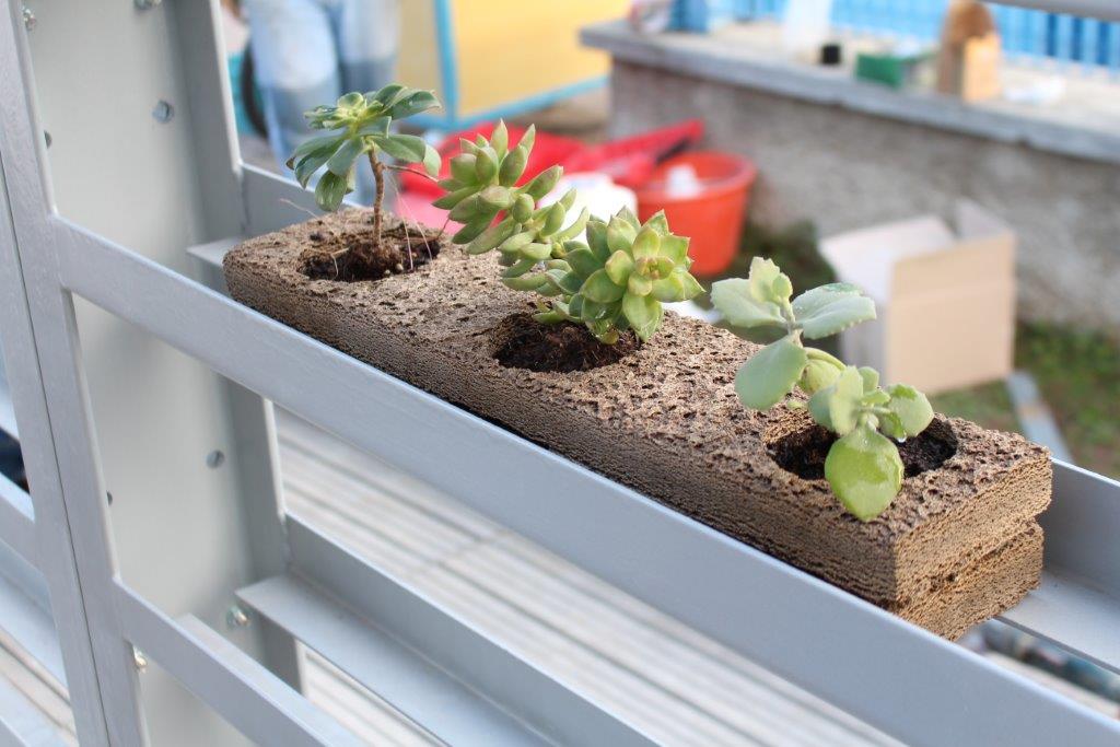 The GreenFrame - Velux Lab Politecnico Milano Bovisa